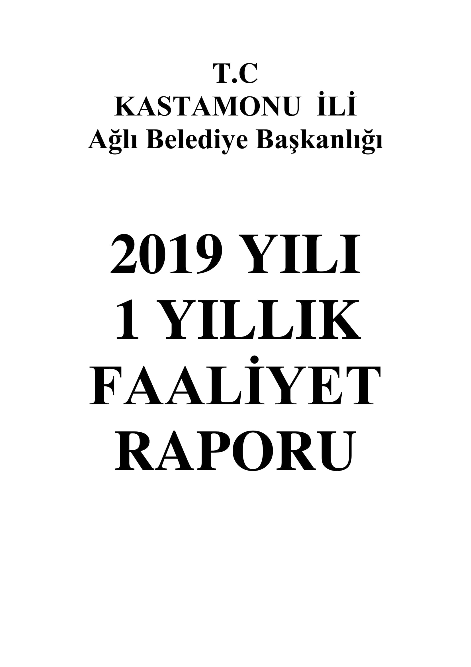 2019 Yılı Faaliyet Raporu